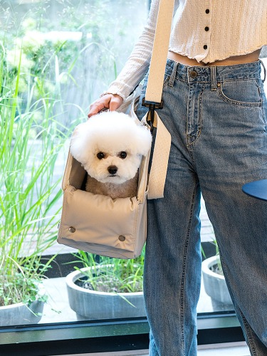 🌸할인해봄🌸 디팡 포그니 강아지 이동가방 고양이 캐리어백 2color