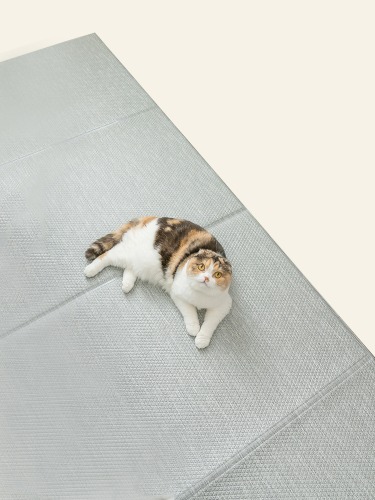 [할인] [폴딩140x60cm] 고양이/중대형견겸용 캣플레이 고양이매트