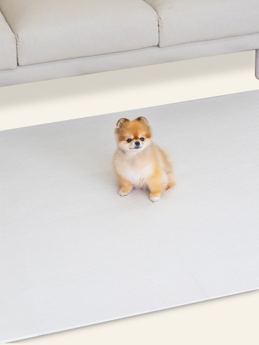 [할인] 펫플레이매트 러그타입 180x140cm (소형견) - 디자인 선택 / 강아지매트