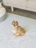 [러그140x180cm] 디팡 미끄럼방지 강아지 고양이매트 애견매트 4mm 7mm